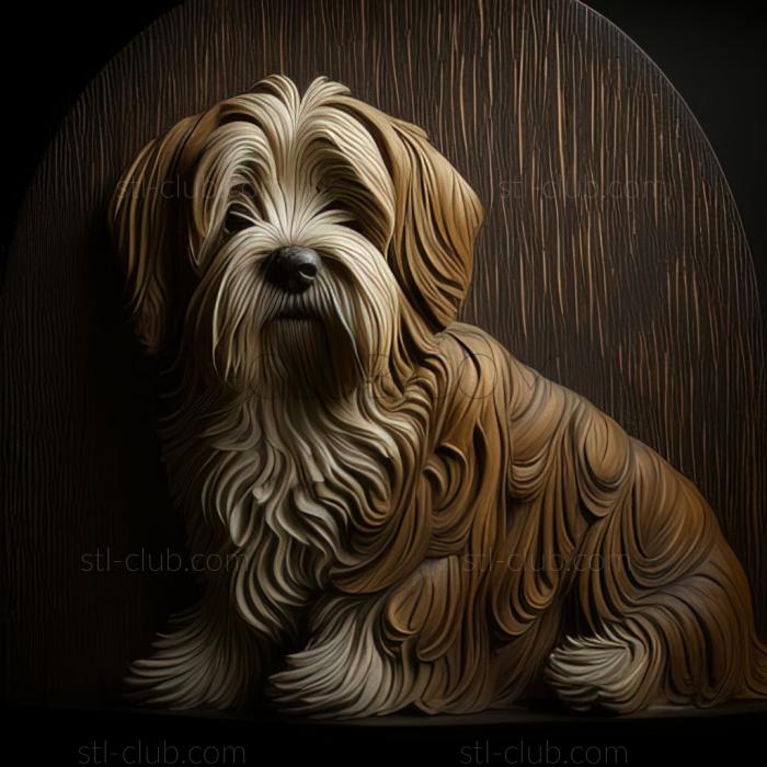 st Tibetan Terrier dog